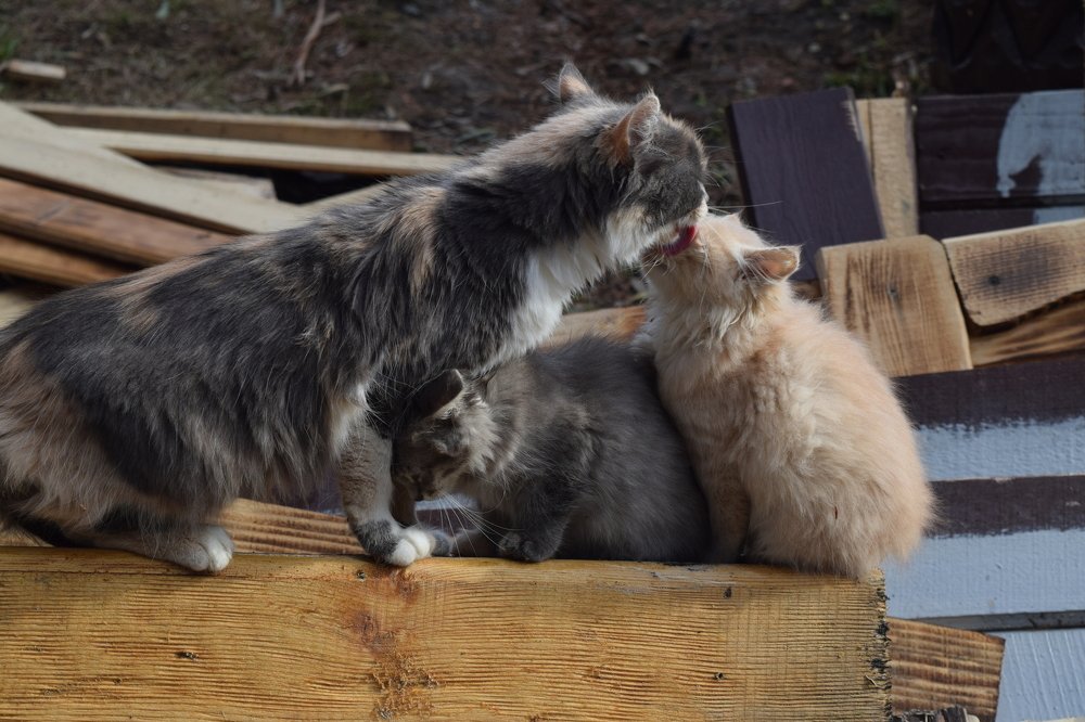 Photograph by Яна Юношева