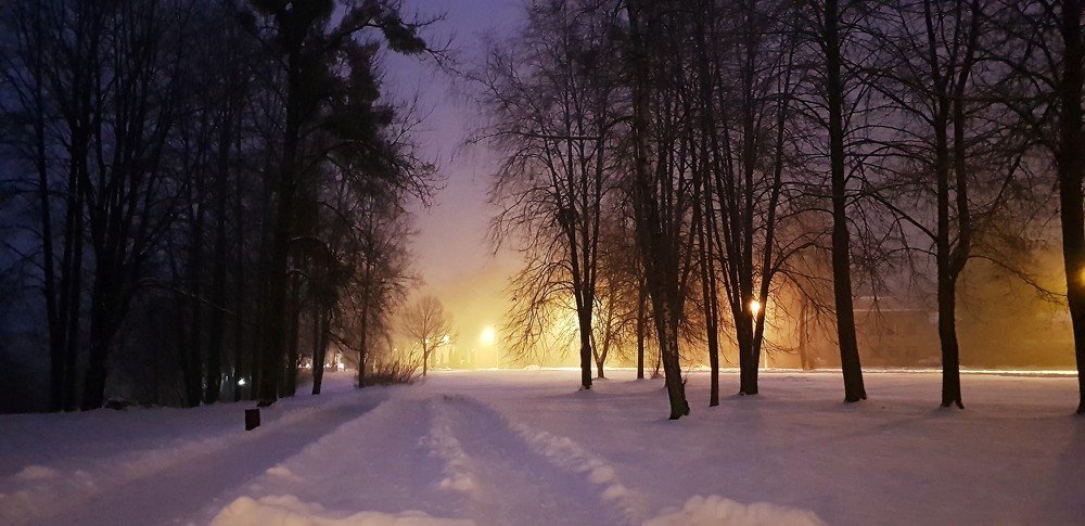 Photograph by Igoris Zurovas