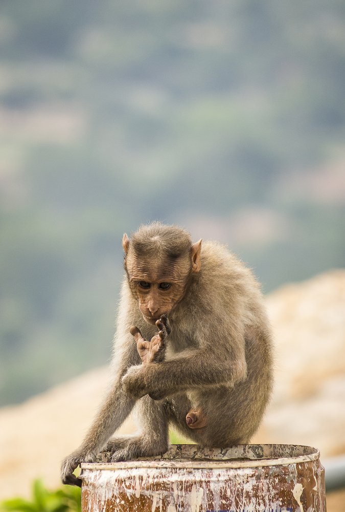 When Think Too Much On