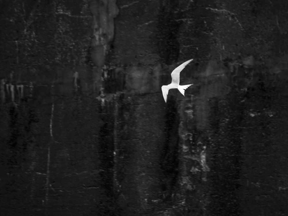 Photograph by Александр