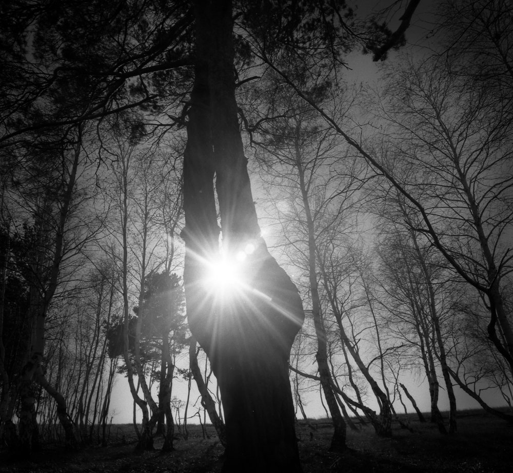 Photograph by петр чиков