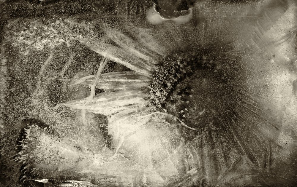 Photograph by Svitlana Zaritski