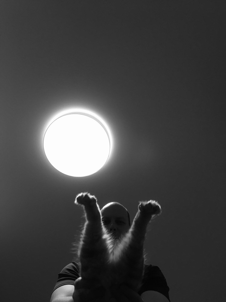 Фотография автора Ольга Шкотова