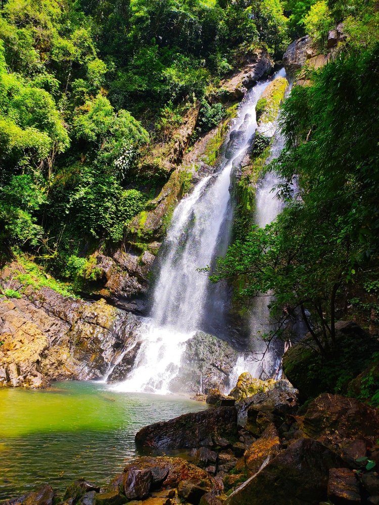 Фотография автора Олег Петреев