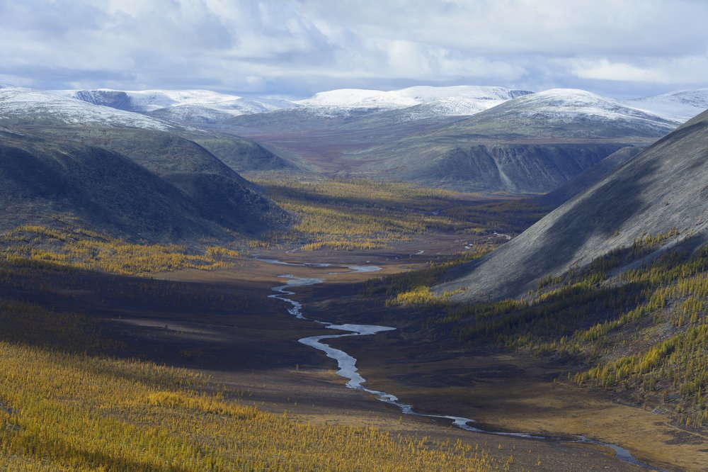 Photograph by Елена Вторушина