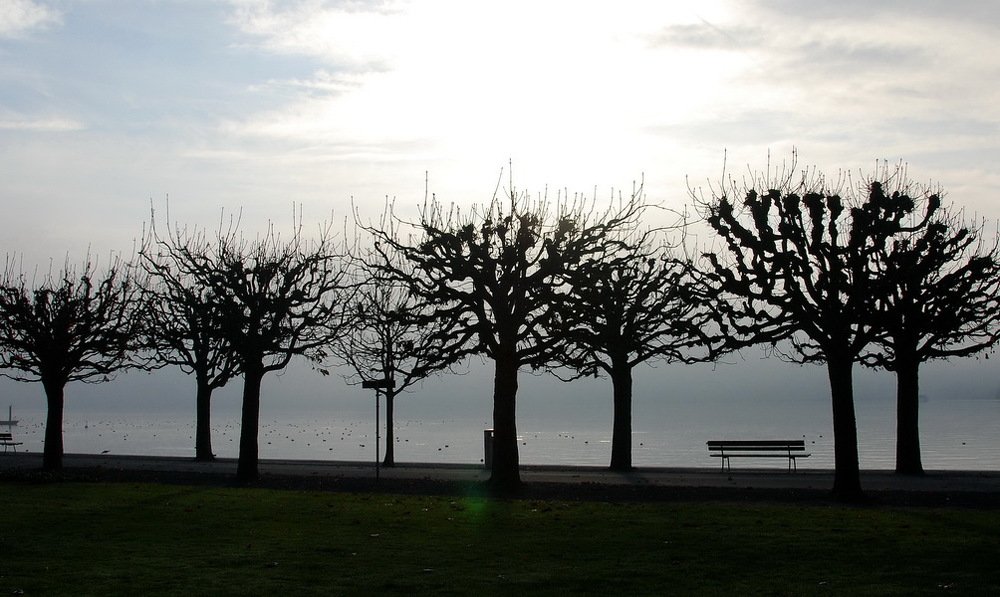 Photograph by Николай Турский