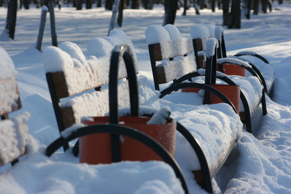 Photograph by Вадим Беляев