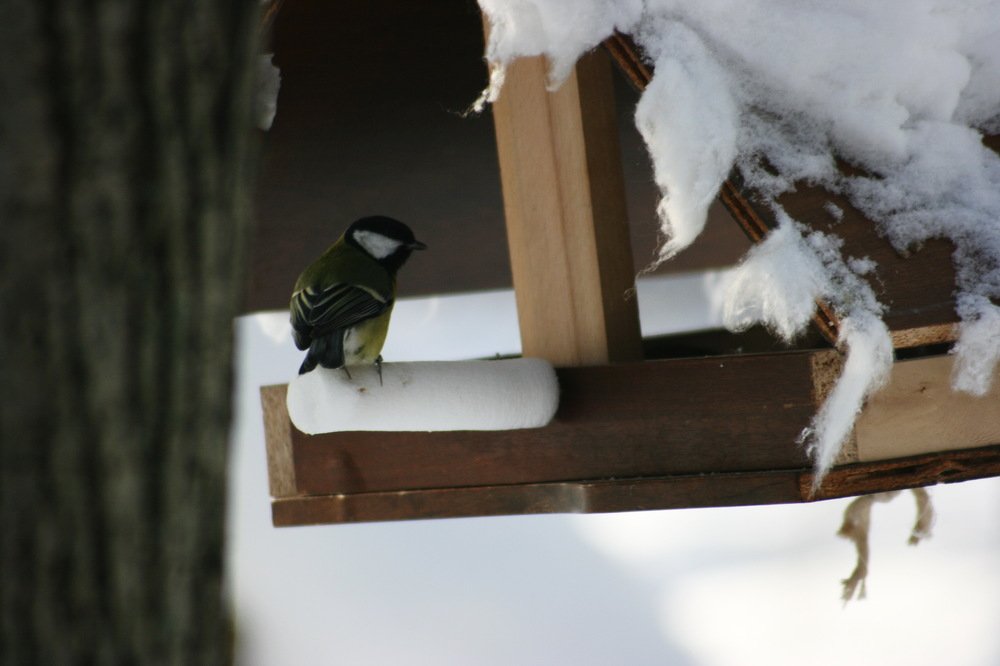 Photograph by Вадим Беляев