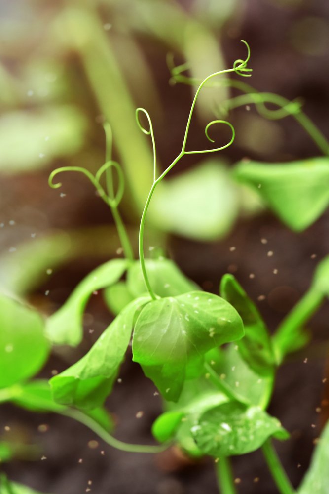 Photograph by Митина Стася