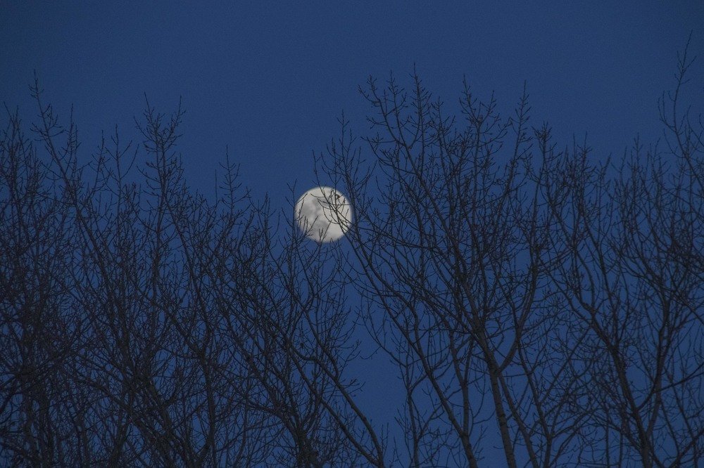 Photograph by миша