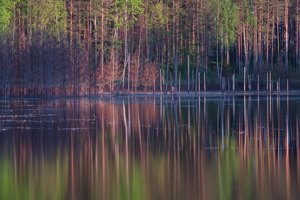 Весенняя акварель