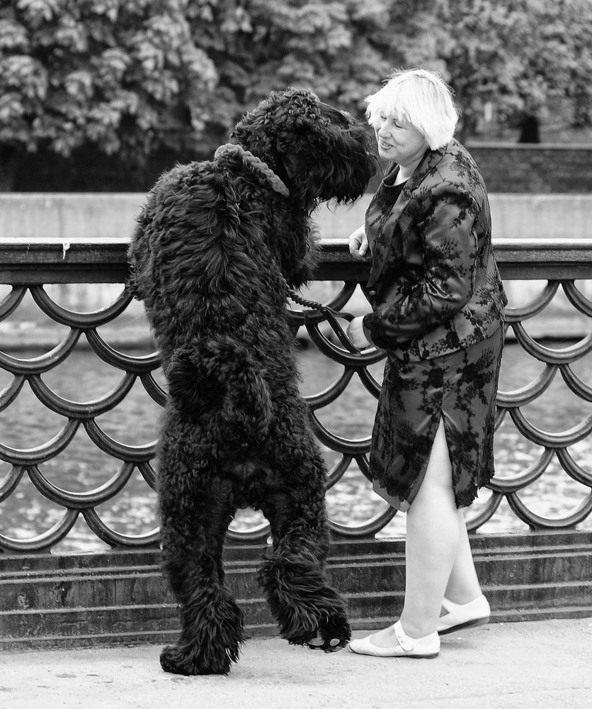 Это любовь!