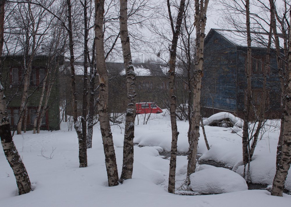 Photograph by Елена