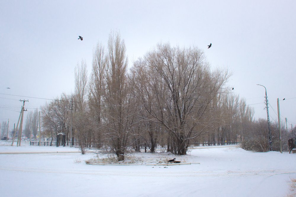 Возле сквера.