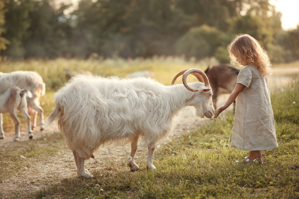 Photograph by Марина Муратова