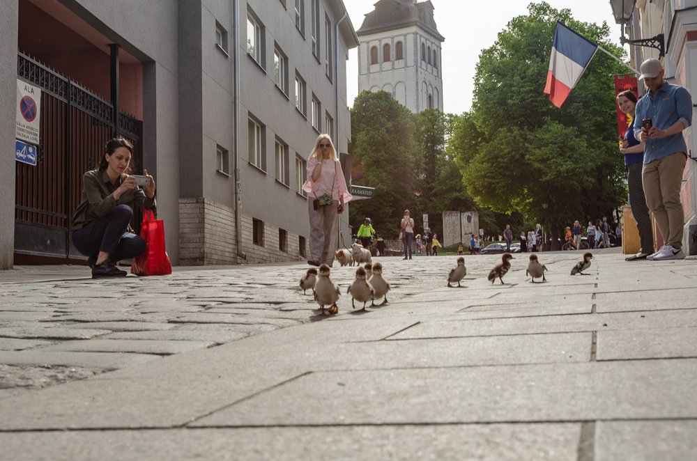 Фотография автора Юрий Макаров