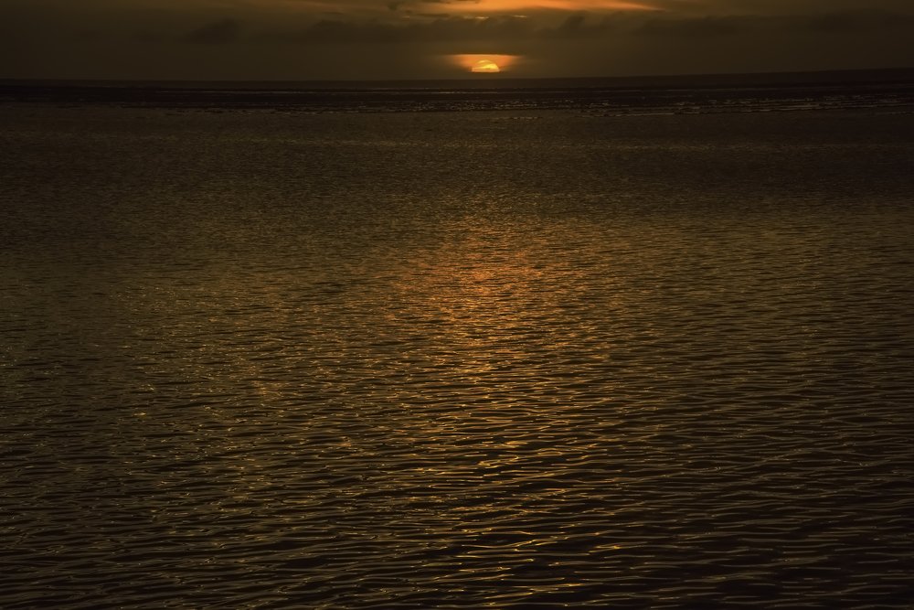 Photograph by Aram Rustayi