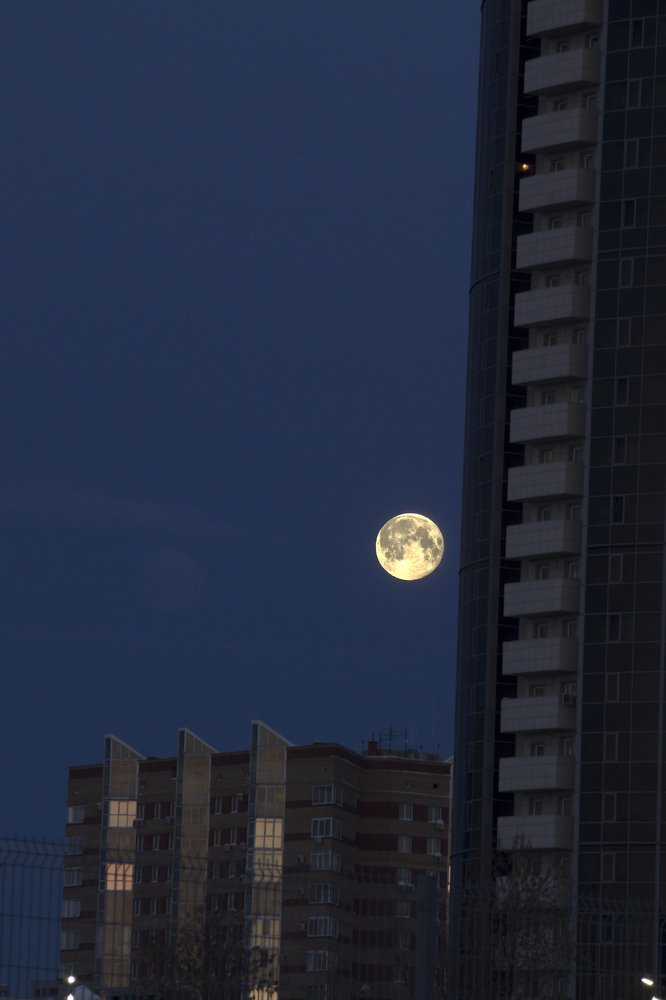 Photograph by Утёмов Сергей