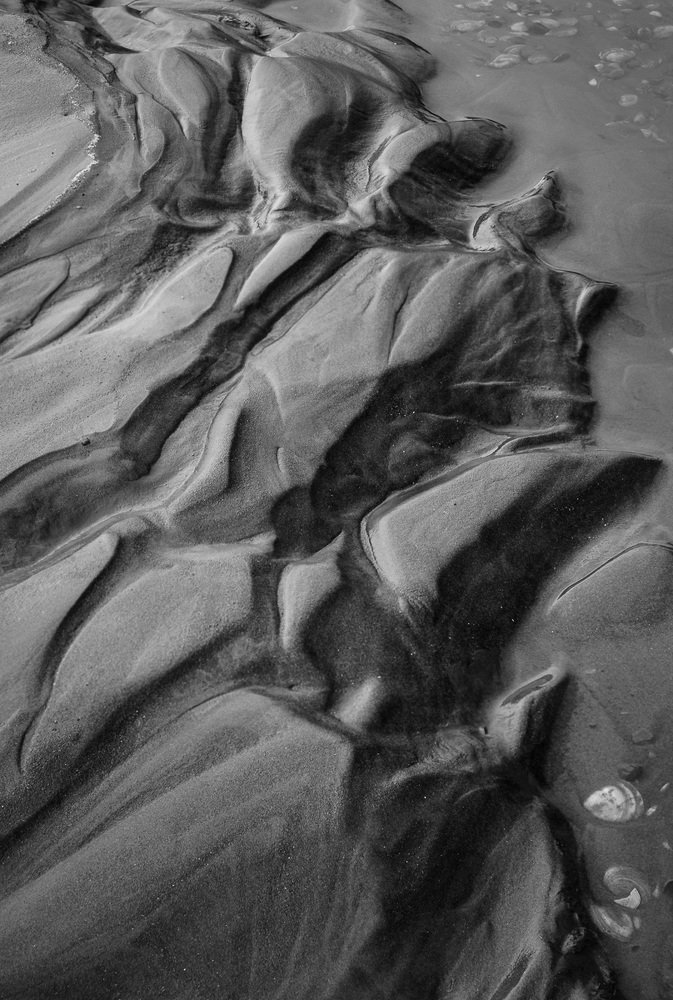 Photograph by Виталий Демус