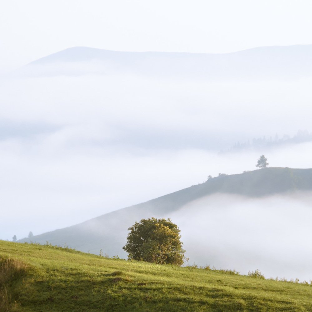 Photograph by Виталий Демус