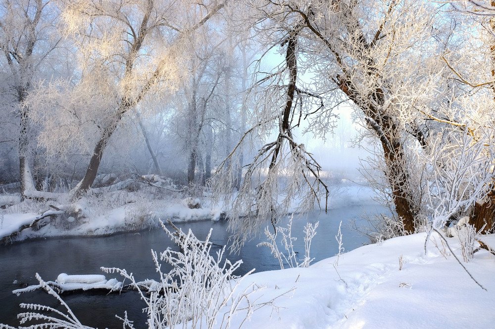 Photograph by Елена Маракулина