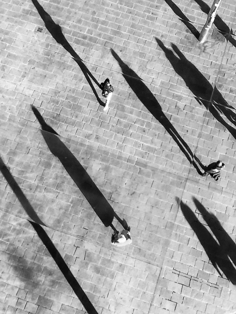 Photograph by Анастасия Ломаева