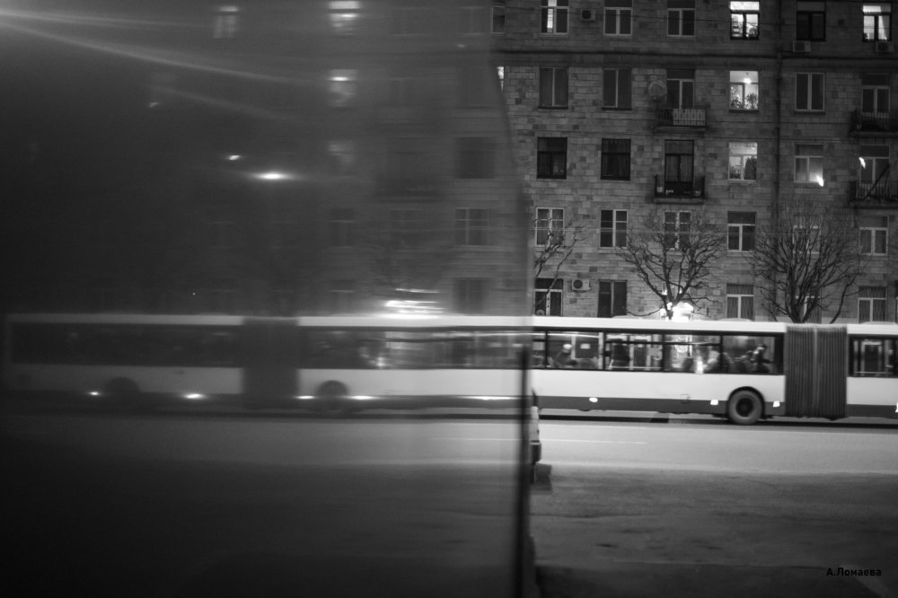 Photograph by Анастасия Ломаева