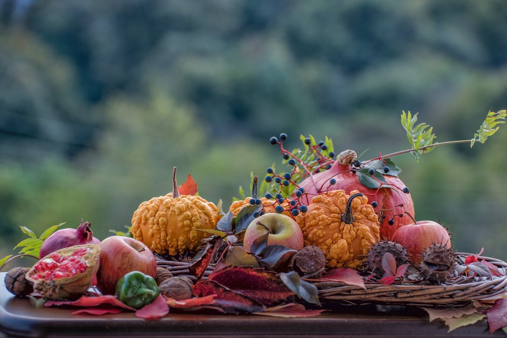 Photograph by Svetlana Milcheva