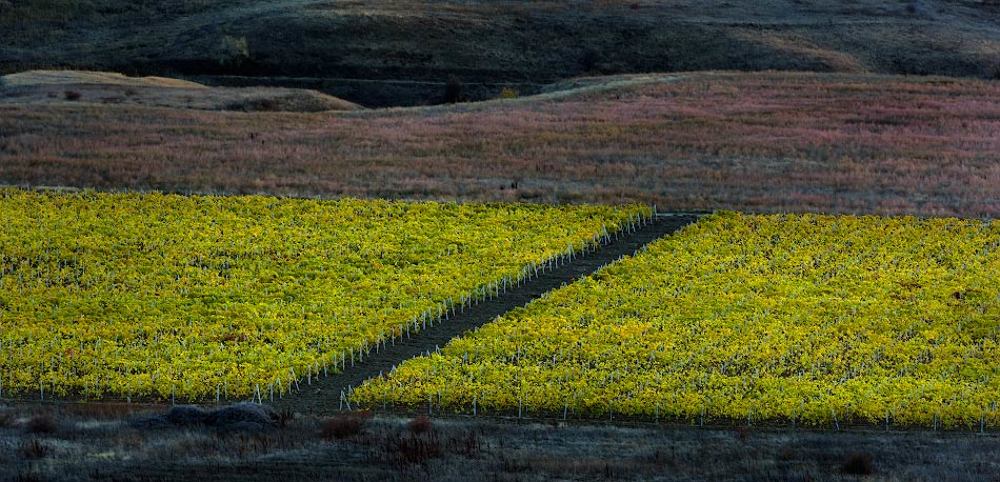 Photograph by Андрей Гусаченко