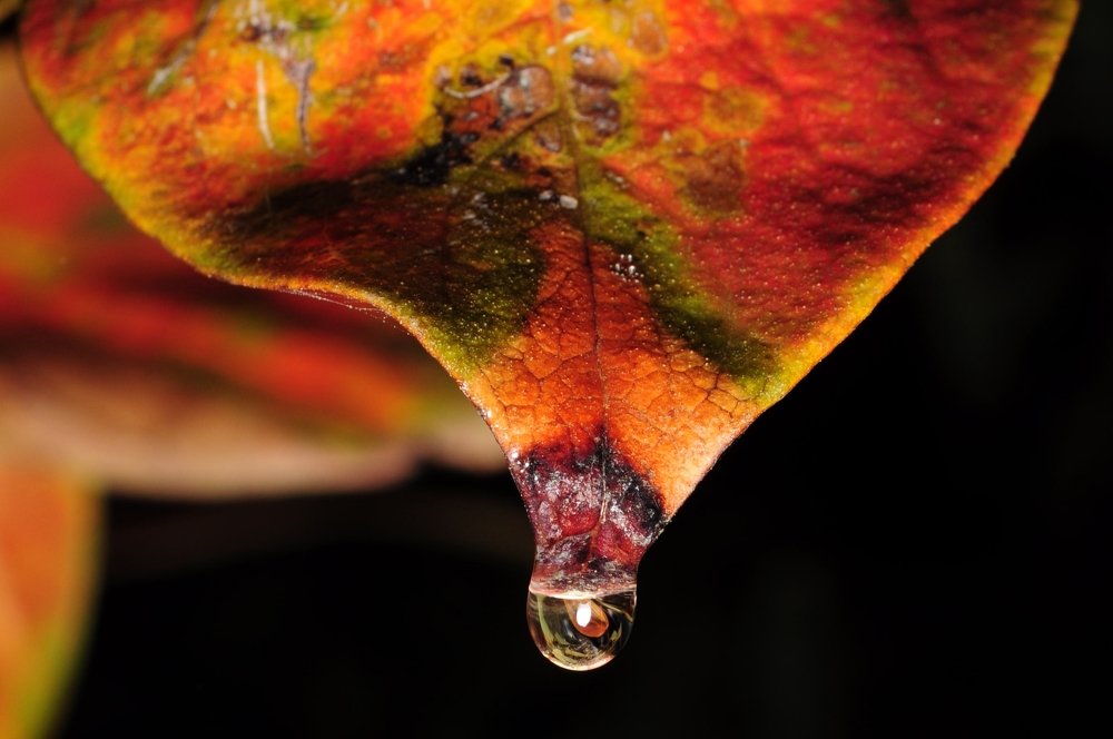 Photograph by Руслан Гамзатова