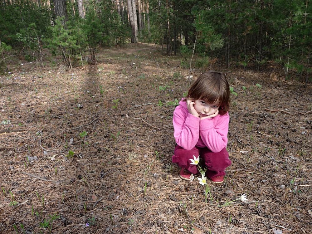 Photo #3945110