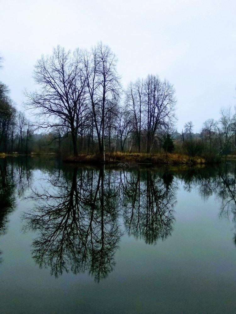 Photograph by Екатерина