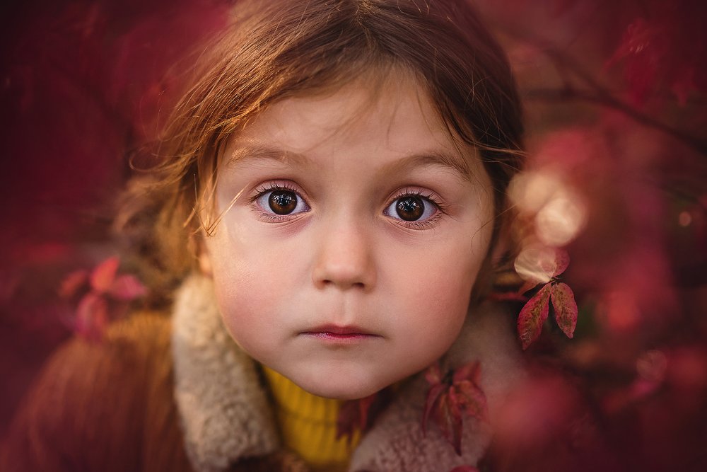 Фотография автора PO IRINA