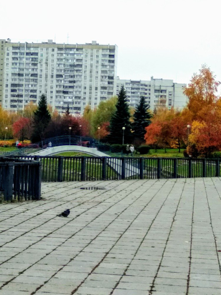 Photograph by Екатерина