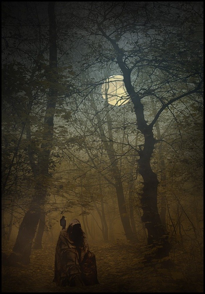 Фотография автора Владимир Щербина