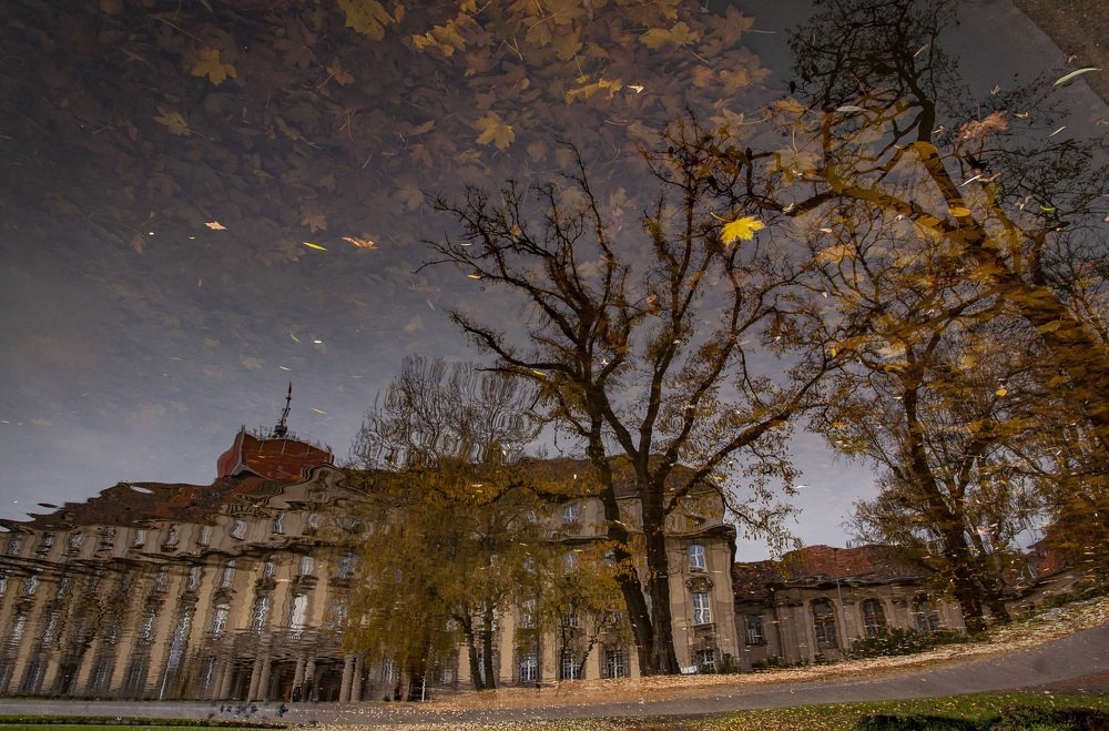 Пейзажная импрессия #5