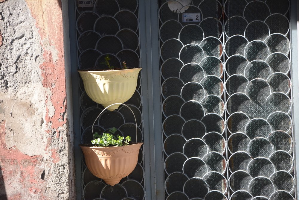 Photograph by Gülşen  Mutlu