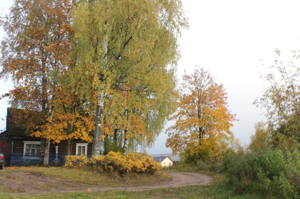 Photograph by Сергей Кочнев