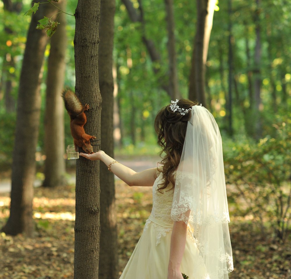 Photograph by Евгения Тимощенко