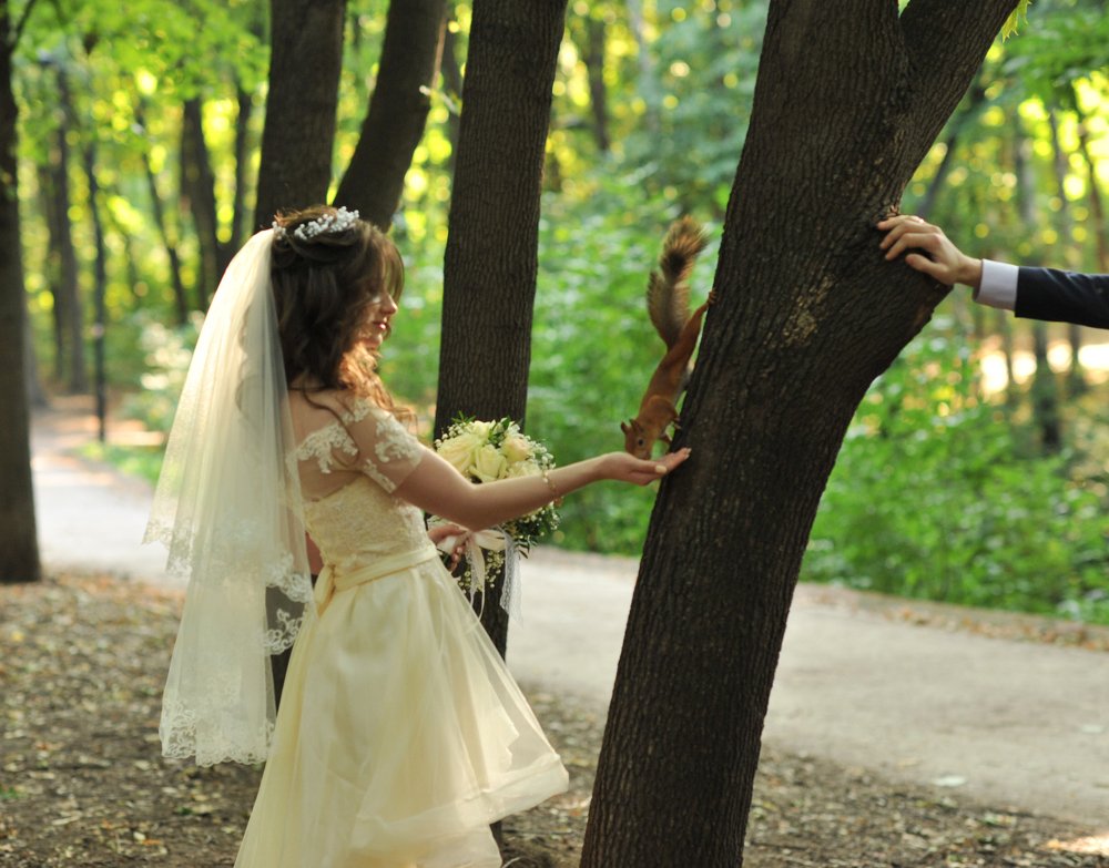 Photograph by Евгения Тимощенко