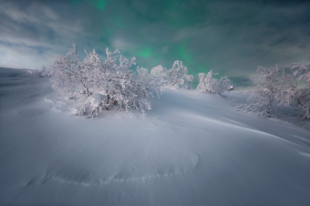 Photograph by Парамонов Григорий