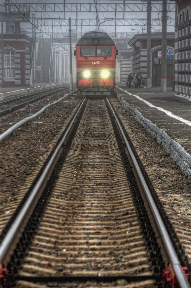 Photograph by Шойтов-Харитановский В.Ю.