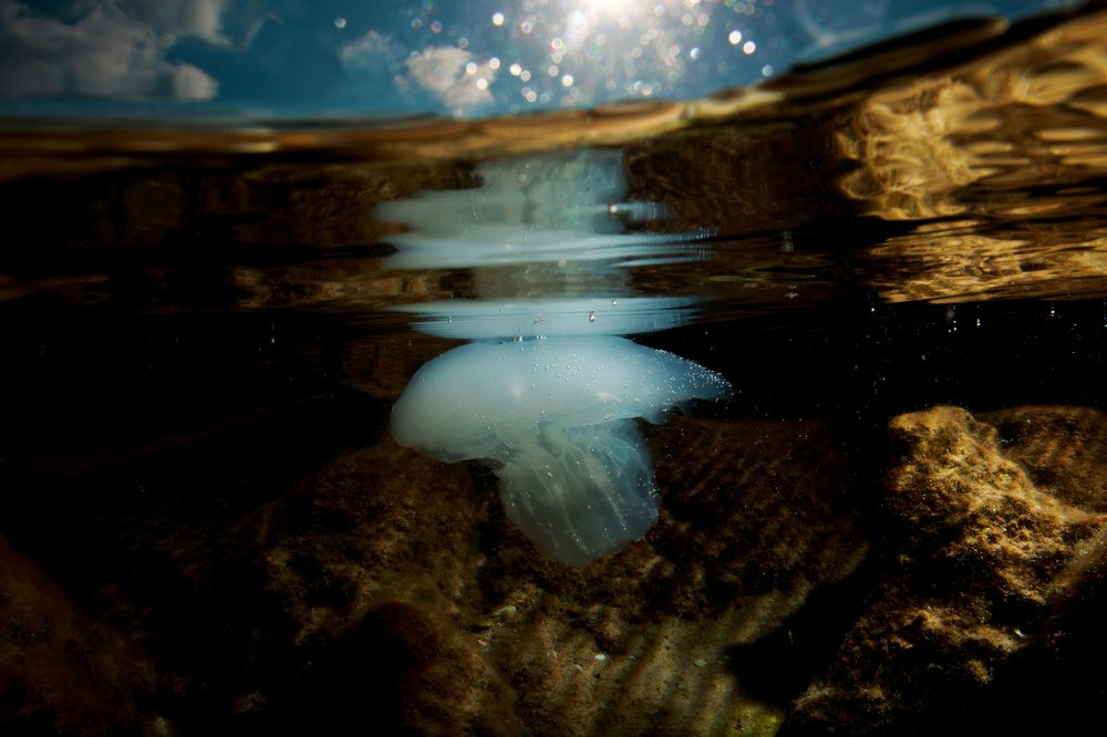 Photograph by roy cohen