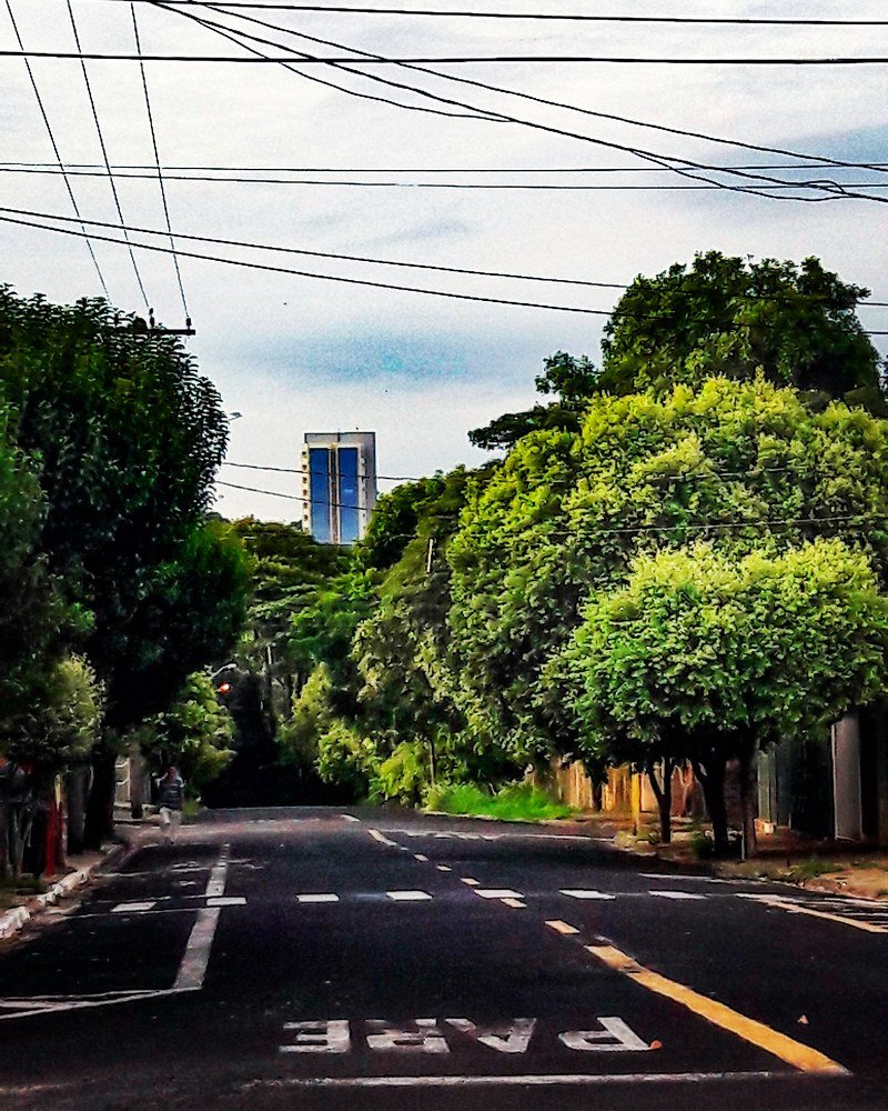 Photograph by Régis Santos