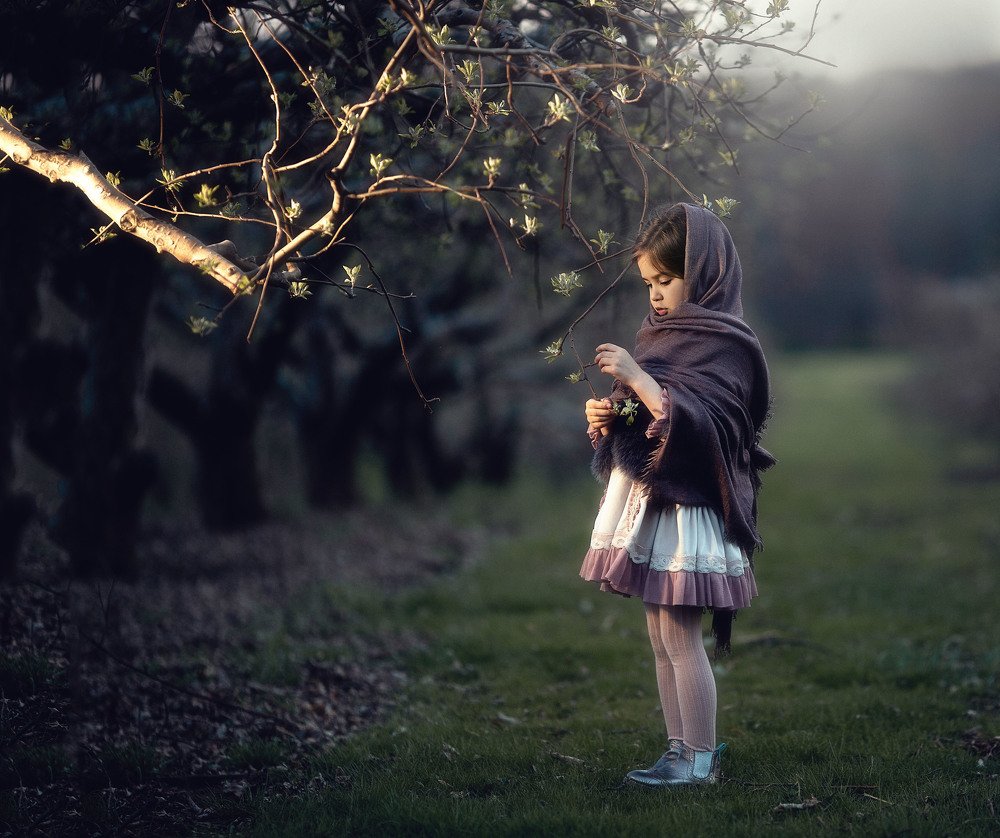 Photograph by Assel Kashani