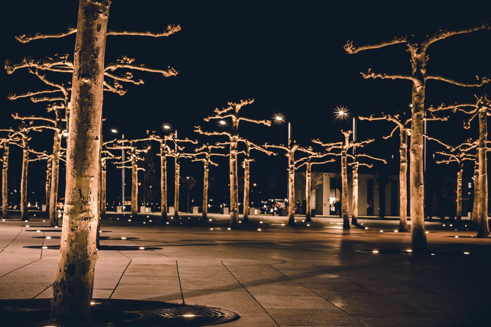 Photograph by Alexander Kovalenko