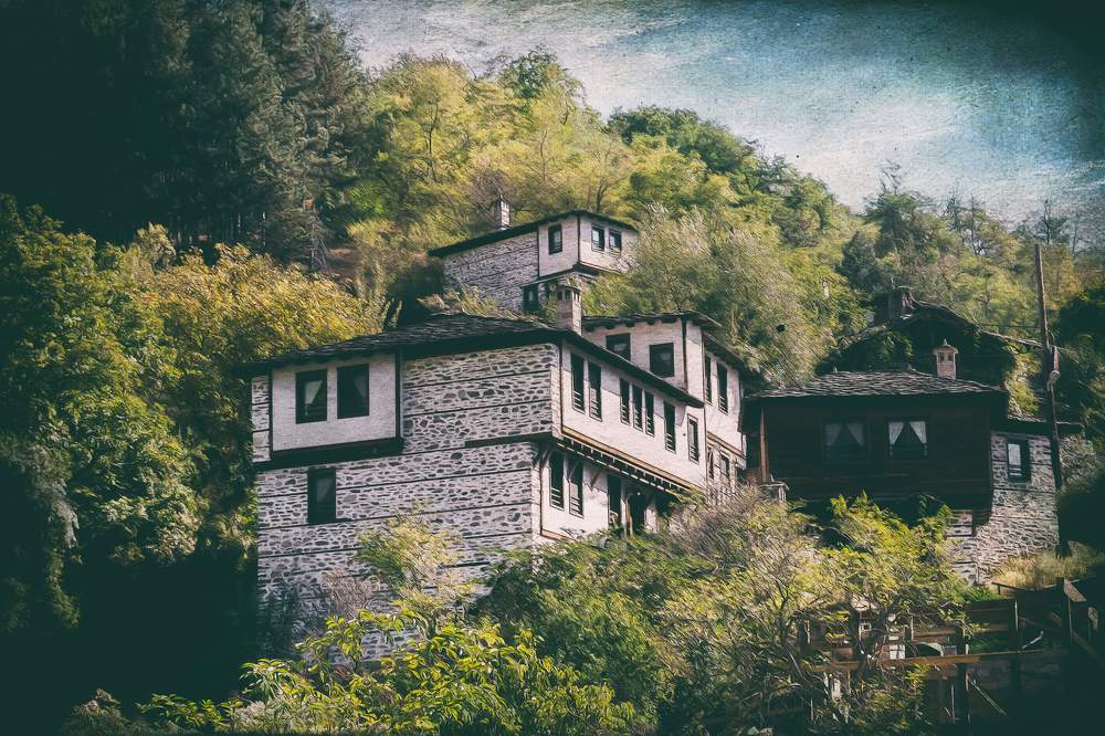 Photograph by Hristo Dipchikov