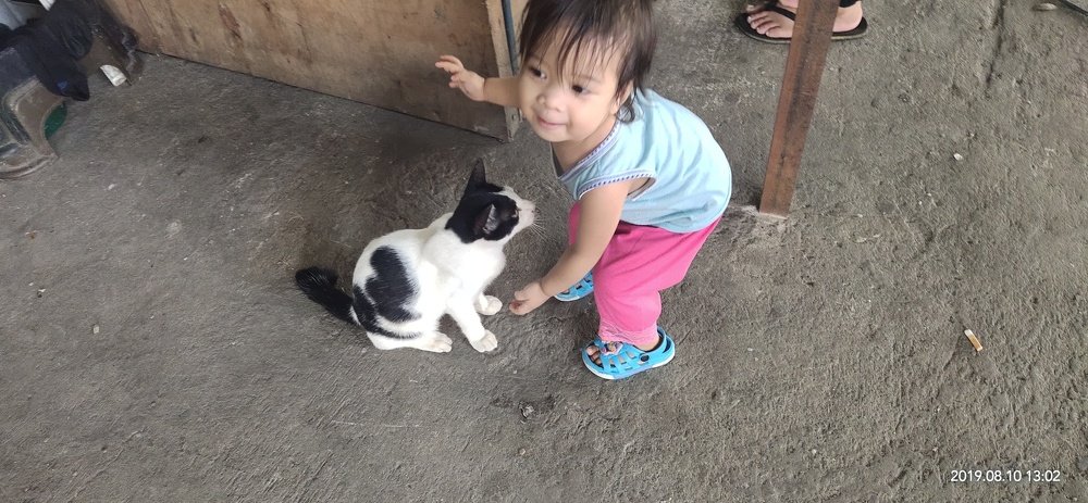 Photograph by Judith Magpantay