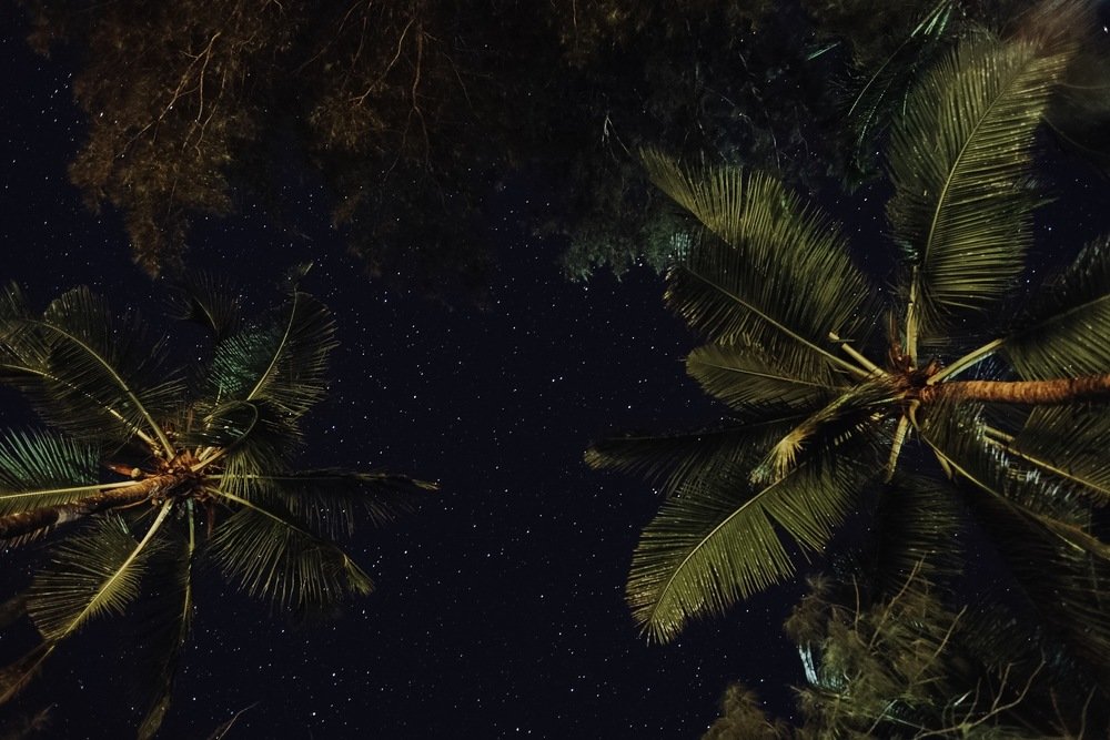 Photograph by Стоянова-Тимбукту Мария