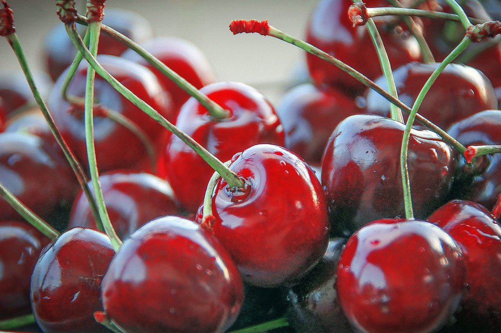 Photograph by Евгений Киселев